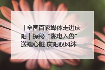 全国百家媒体走进庆阳｜探秘“陇电入鲁”送端心脏 庆阳驭风沐光点亮齐鲁万家