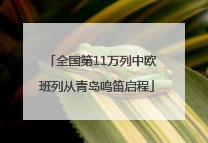 全国第11万列中欧班列从青岛鸣笛启程