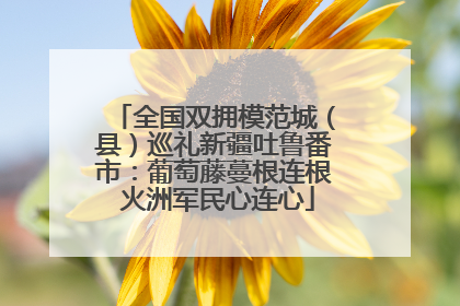 全国双拥模范城（县）巡礼新疆吐鲁番市：葡萄藤蔓根连根 火洲军民心连心