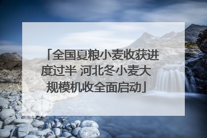 全国夏粮小麦收获进度过半 河北冬小麦大规模机收全面启动