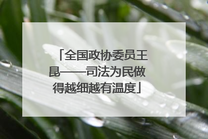 全国政协委员王昆——司法为民做得越细越有温度