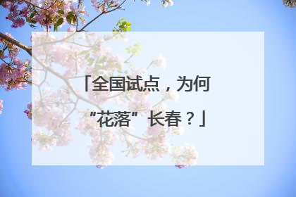 全国试点，为何“花落”长春？