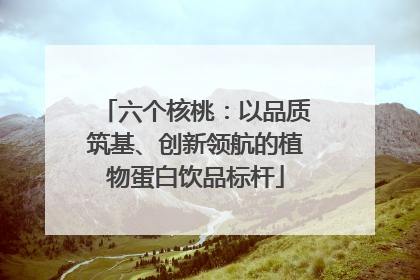 六个核桃：以品质筑基、创新领航的植物蛋白饮品标杆
