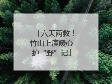 六天两救！竹山上演暖心护“野”记