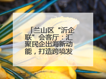 兰山区“沂企联”会客厅：汇聚民企出海新动能，打造跨境发展“强磁场”