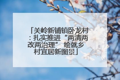 关岭新铺镇卧龙村：扎实推进“两清两改两治理” 绘就乡村宜居新图景