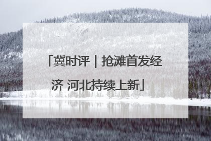 冀时评｜抢滩首发经济 河北持续上新