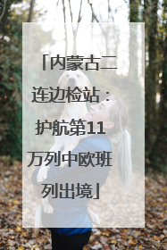 内蒙古二连边检站：护航第11万列中欧班列出境