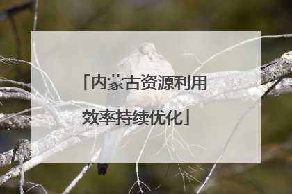 内蒙古资源利用效率持续优化