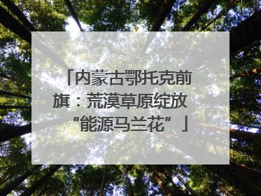 内蒙古鄂托克前旗：荒漠草原绽放“能源马兰花”