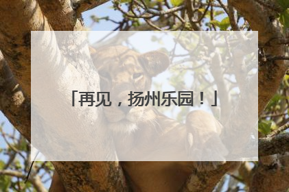 再见，扬州乐园！