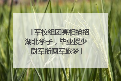 军校组团亮相抢招湖北学子，毕业授少尉军衔圆军旅梦
