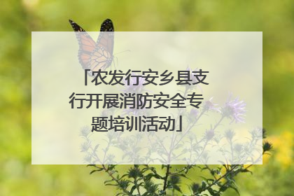 农发行安乡县支行开展消防安全专题培训活动