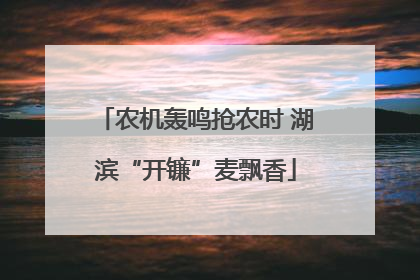 农机轰鸣抢农时 湖滨“开镰”麦飘香