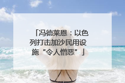 冯德莱恩：以色列打击加沙民用设施“令人憎恶”