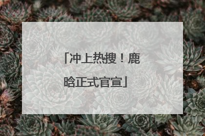 冲上热搜！鹿晗正式官宣