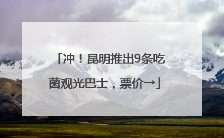 冲！昆明推出9条吃菌观光巴士，票价→