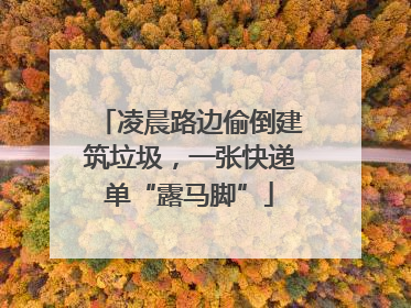 凌晨路边偷倒建筑垃圾，一张快递单“露马脚”