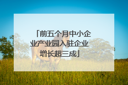 前五个月中小企业产业园入驻企业增长超三成