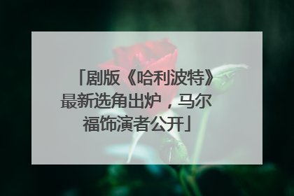 剧版《哈利波特》最新选角出炉，马尔福饰演者公开