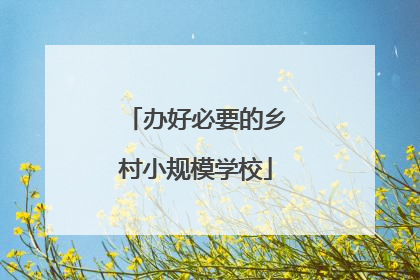 办好必要的乡村小规模学校