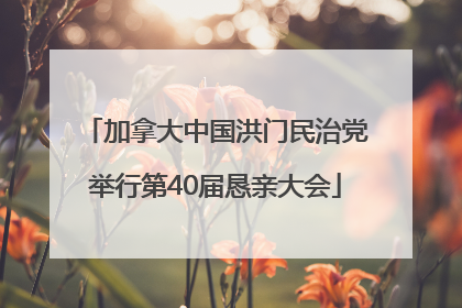 加拿大中国洪门民治党举行第40届恳亲大会