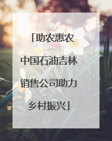 助农惠农 中国石油吉林销售公司助力乡村振兴