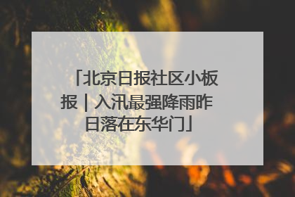 北京日报社区小板报｜入汛最强降雨昨日落在东华门