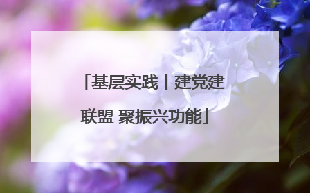基层实践丨建党建联盟 聚振兴功能