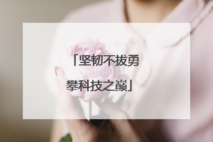 坚韧不拔勇攀科技之巅