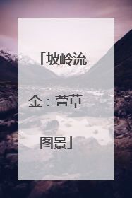 坡岭流金：萱草图景