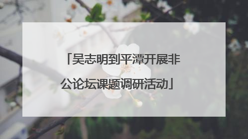 吴志明到平潭开展非公论坛课题调研活动