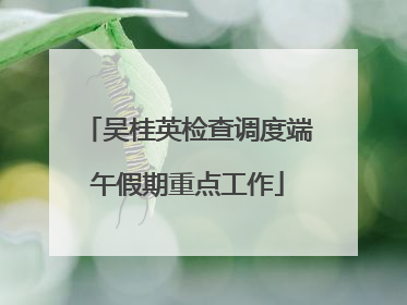 吴桂英检查调度端午假期重点工作