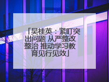 吴桂英：紧盯突出问题 从严整改整治 推动学习教育见行见效