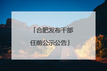 合肥发布干部任前公示公告