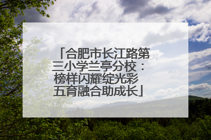 合肥市长江路第三小学兰亭分校：榜样闪耀绽光彩 五育融合助成长