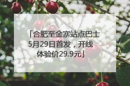合肥至金寨站点巴士5月29日首发，开线体验价29.9元