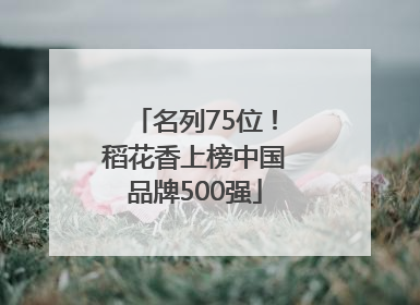 名列75位！稻花香上榜中国品牌500强