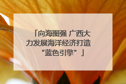向海图强 广西大力发展海洋经济打造“蓝色引擎”
