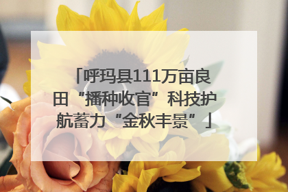 呼玛县111万亩良田“播种收官”科技护航蓄力“金秋丰景”