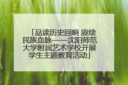品读历史回响 赓续民族血脉——沈阳师范大学附属艺术学校开展学生主题教育活动