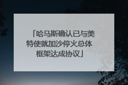 哈马斯确认已与美特使就加沙停火总体框架达成协议