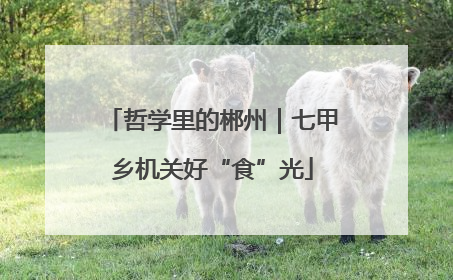 哲学里的郴州｜七甲乡机关好“食”光