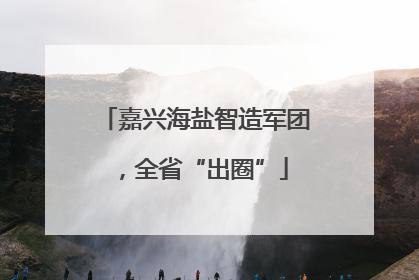 嘉兴海盐智造军团，全省“出圈”