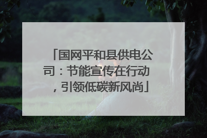 国网平和县供电公司：节能宣传在行动，引领低碳新风尚