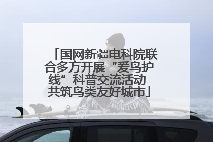 国网新疆电科院联合多方开展“爱鸟护线”科普交流活动 共筑鸟类友好城市
