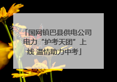 国网镇巴县供电公司 电力“护考天团”上线 温情助力中考