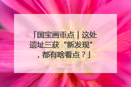 国宝画重点｜这处遗址三获“新发现”，都有啥看点？