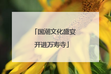 国潮文化盛宴开进万寿寺
