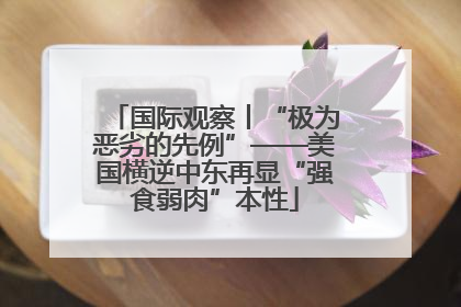 国际观察丨“极为恶劣的先例”——美国横逆中东再显“强食弱肉”本性